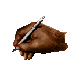 Choose this Writer