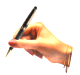 Choose this Writer